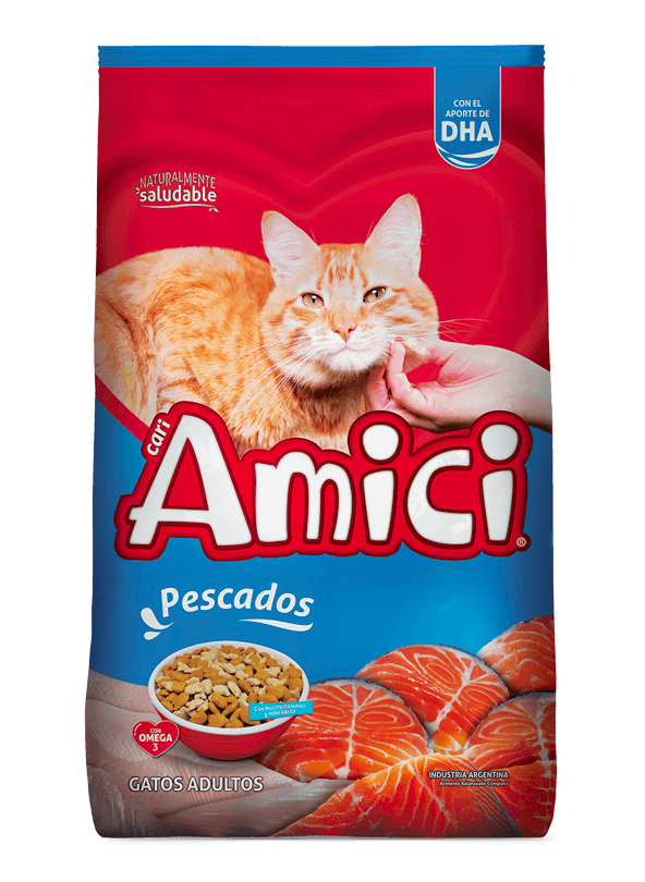 Amici — Gato