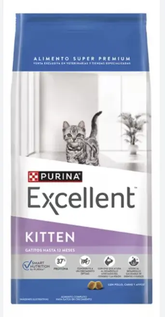 Excellent — Kitten
