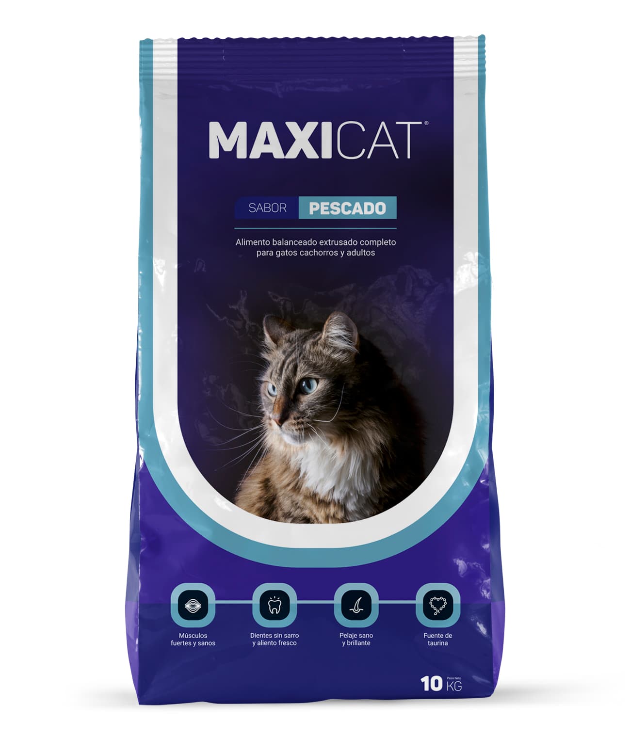 Maxi Cat — Gato