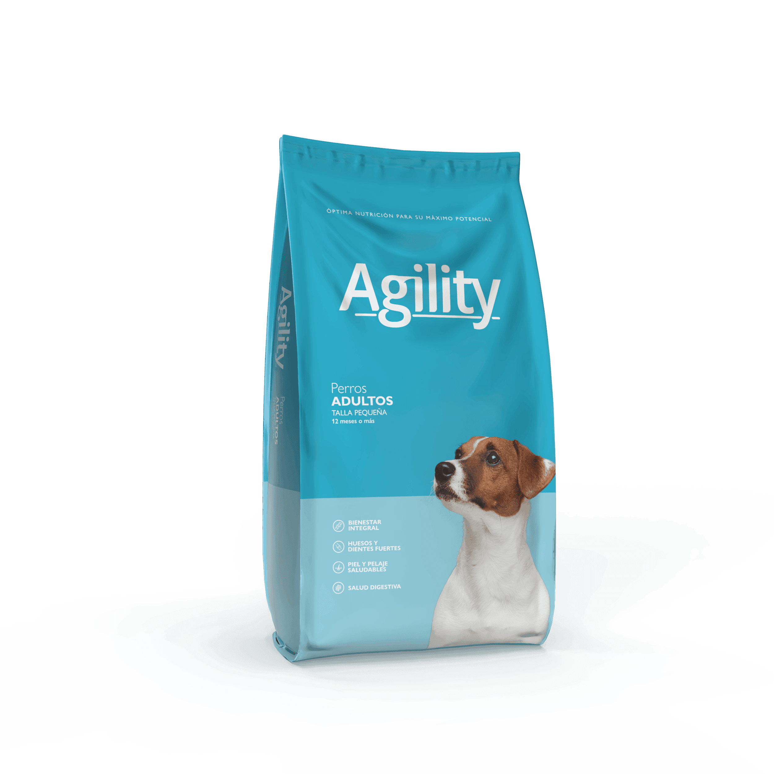 Agility — Adulto raza pequeña