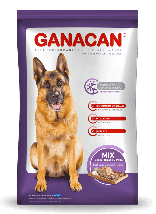 Ganacan — Adulto
